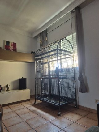 Jaula Grande para Loro
