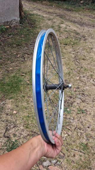 Rueda Bicicleta 20 con llanta azul