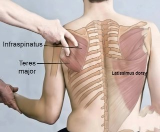 Masajes fisioterapeutico,relajante,masoterapia.