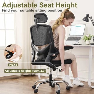 Silla Ergonómica Oficina Negra/Plata