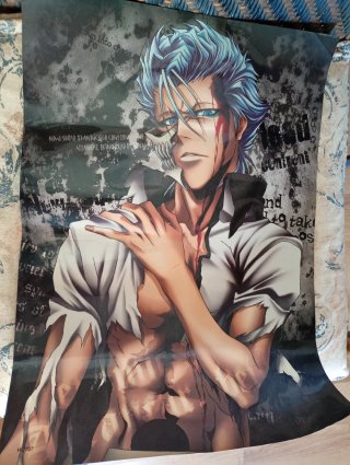 Póster Anime Bleach