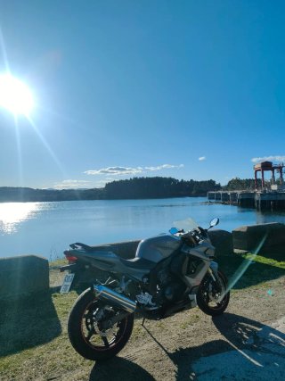 Hyosung GT250R Sportbike Gris
