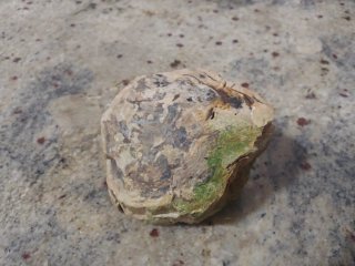 Rocas Dragón para Acuario y Aquascaping