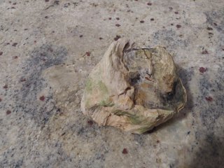 Rocas Dragón para Acuario y Aquascaping