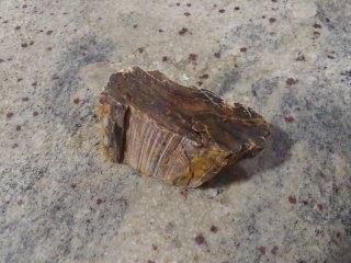 Rocas Dragón para Acuario y Aquascaping