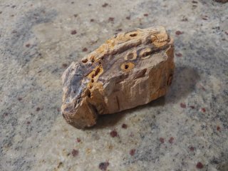 Rocas Dragón para Acuario y Aquascaping
