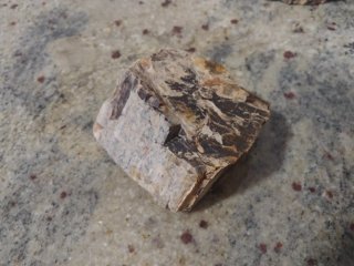 Rocas Dragón para Acuario y Aquascaping