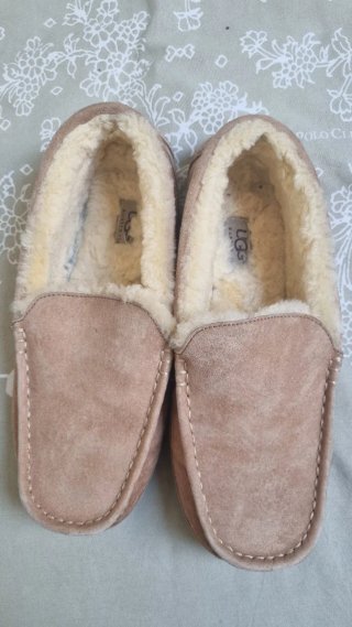 Zapatillas UGG Beige Mujer