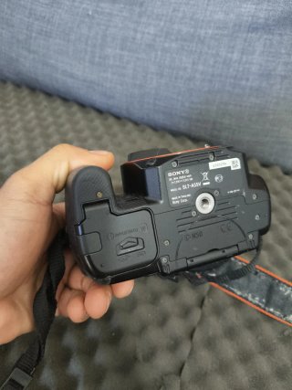 Cámara Sony a55