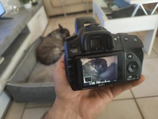 Sony Alpha 350 DSLR-A350K Cámara Digital