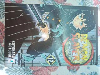 Demon Slayer COMPLETA 1-23 + 2 Extra + Vol. 23 SPE