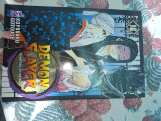 Demon Slayer COMPLETA 1-23 + 2 Extra + Vol. 23 SPE
