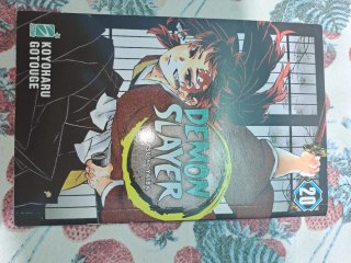 Demon Slayer COMPLETA 1-23 + 2 Extra + Vol. 23 SPE