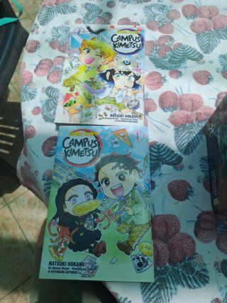 Demon Slayer COMPLETA 1-23 + 2 Extra + Vol. 23 SPE