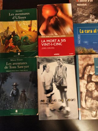 Lote libros juveniles catalán