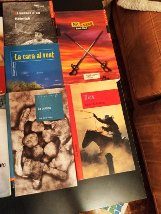 Lote libros juveniles catalán