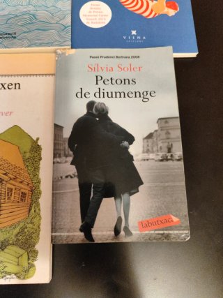 Lote libros en catalán