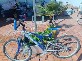 Bicicleta Jumpertrek Freerider