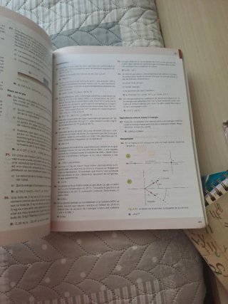 Física 1r Batxillerat