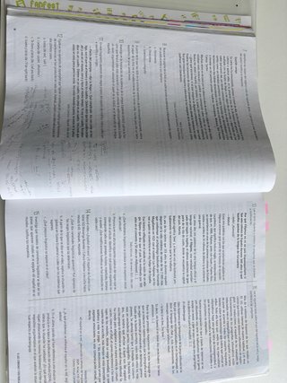 Lengua castellana y literatura 2 Bachillerato
