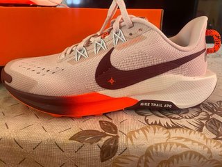 Scarpe da corsa Nike Pegasus Trail 5