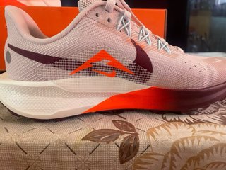 Scarpe da corsa Nike Pegasus Trail 5
