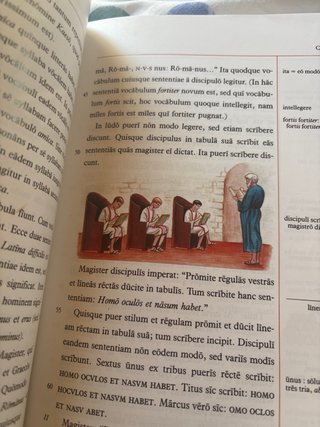 Lingua latina per se illustrata