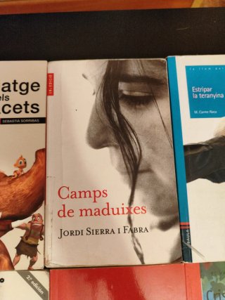 Lote libros juveniles catalán