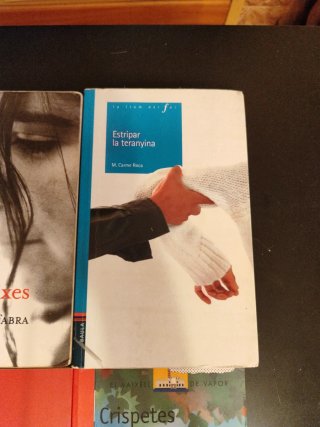 Lote libros juveniles catalán