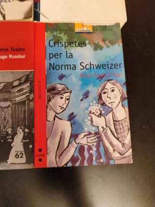 Lote libros juveniles catalán