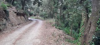 Terreno en venta en La Floresta - Les Planes en Sant Cugat del Vallès