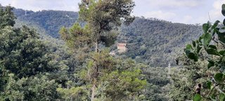 Terreno en venta en La Floresta - Les Planes en Sant Cugat del Vallès
