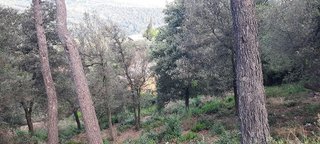 Terreno en venta en La Floresta - Les Planes en Sant Cugat del Vallès