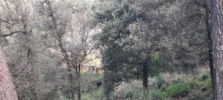 Terreno en venta en La Floresta - Les Planes en Sant Cugat del Vallès