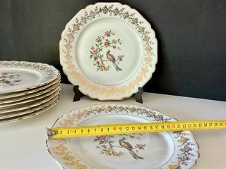 🇫🇷 9 Platos Llanos Porcelana Ave Paraíso