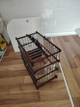Gabbia per uccelli in legno