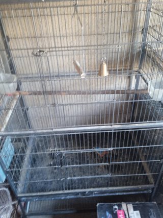 Jaulas para pájaros