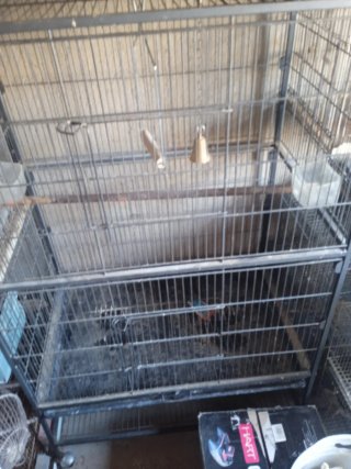 Jaulas para pájaros