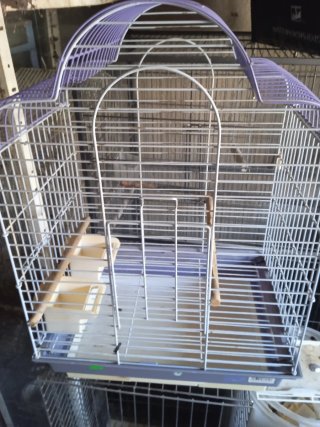 Jaulas para pájaros