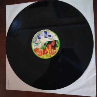 TECHNO TRIBAL 2009 PHOT 004 Raul Mezcolanza Vinilo