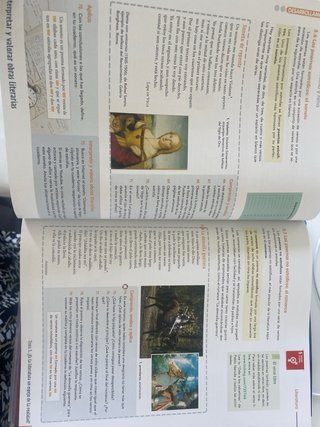 Lengua castellana y literatura