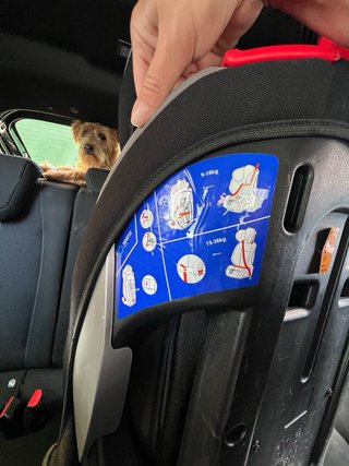 Silla coche Sparco 9-36 kg