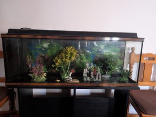 Pecera/acuario grande con decoración y mueble