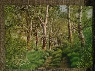 Cuadro paisaje bosque