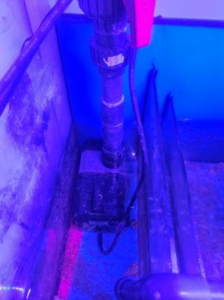 Acuario Marino con Sump