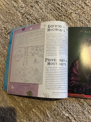 Harry Potter: Un viaje por la historia de la ma...