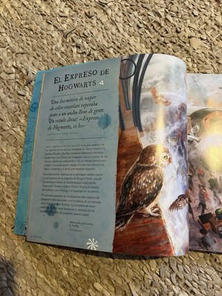 Harry Potter: Un viaje por la historia de la ma...