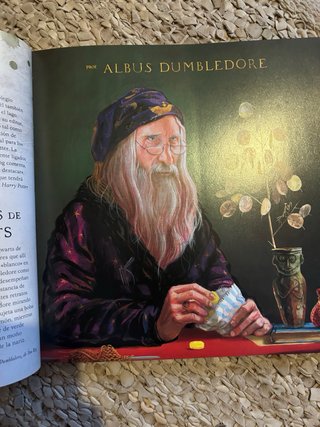 Harry Potter: Un viaje por la historia de la ma...