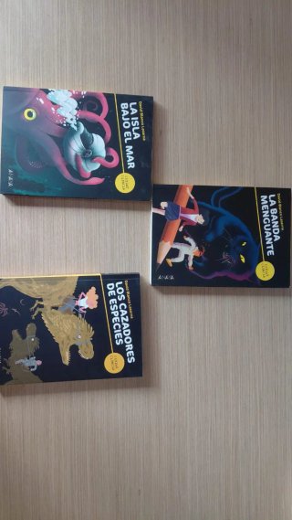 Lote de libros de literatura juvenil.