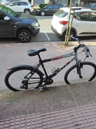 Bicicleta de Montaña